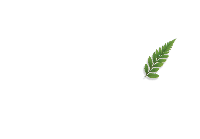 영등포다이어트 선한의원 디톡스 제목