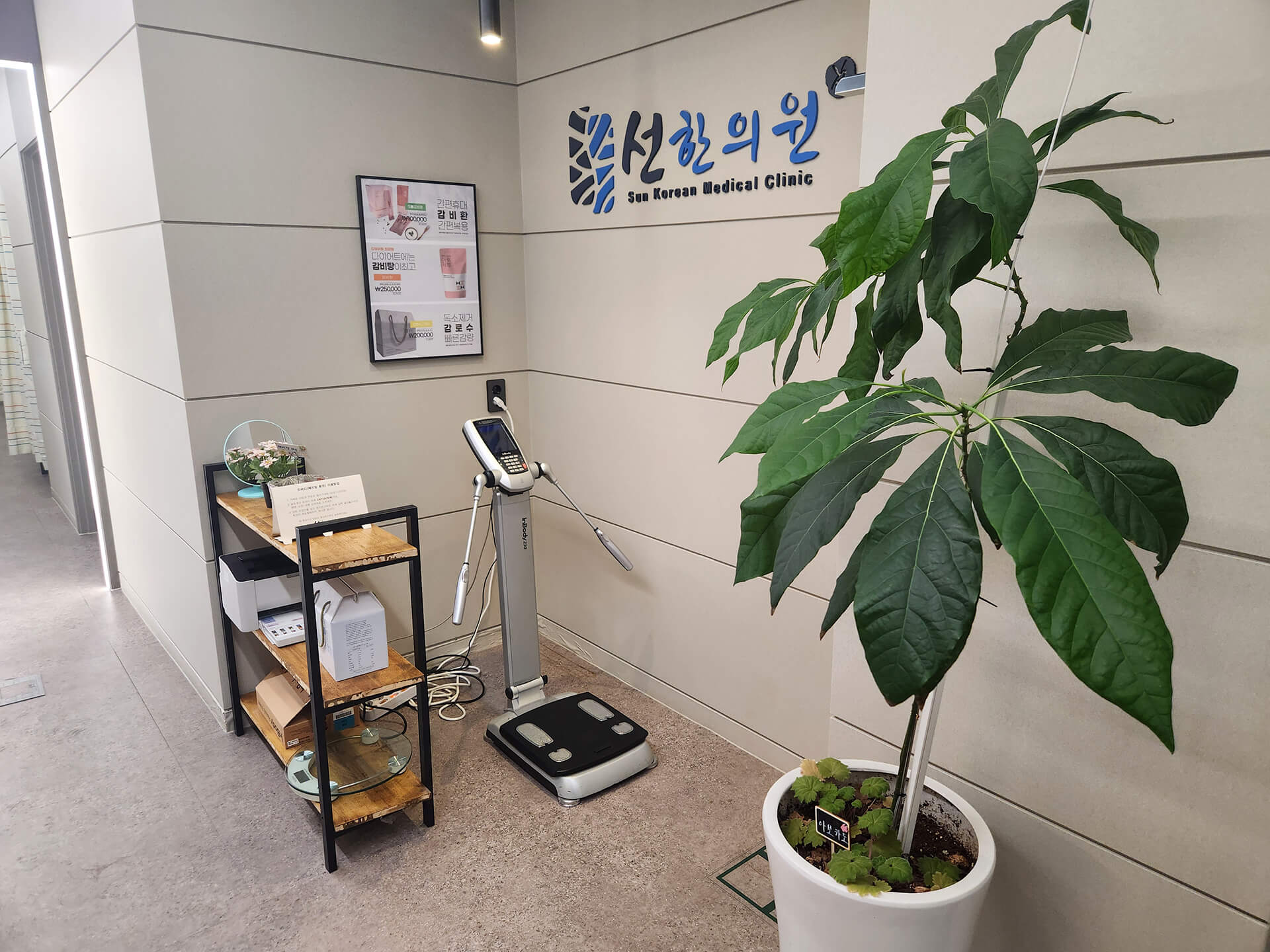 영등포한의원 영등포역한의원 여의도한의원 선한의원 인바디